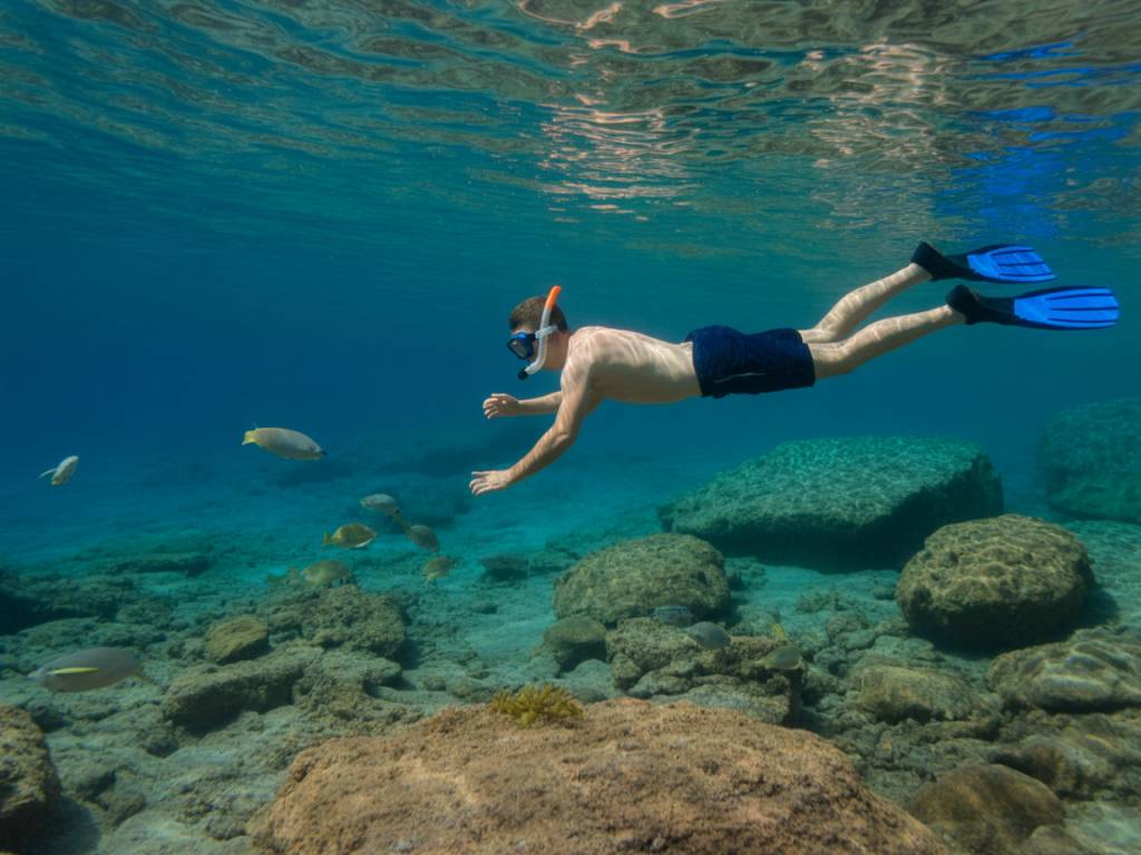 Snorkeling à Banyuls-sur-Mer : explorer le sentier sous-marin et la réserve naturelle en famille