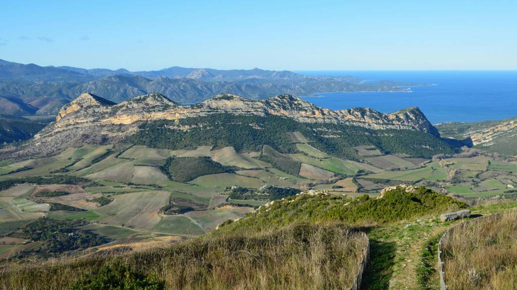Découvrir le domaine des creisses, un joyau discret du languedoc