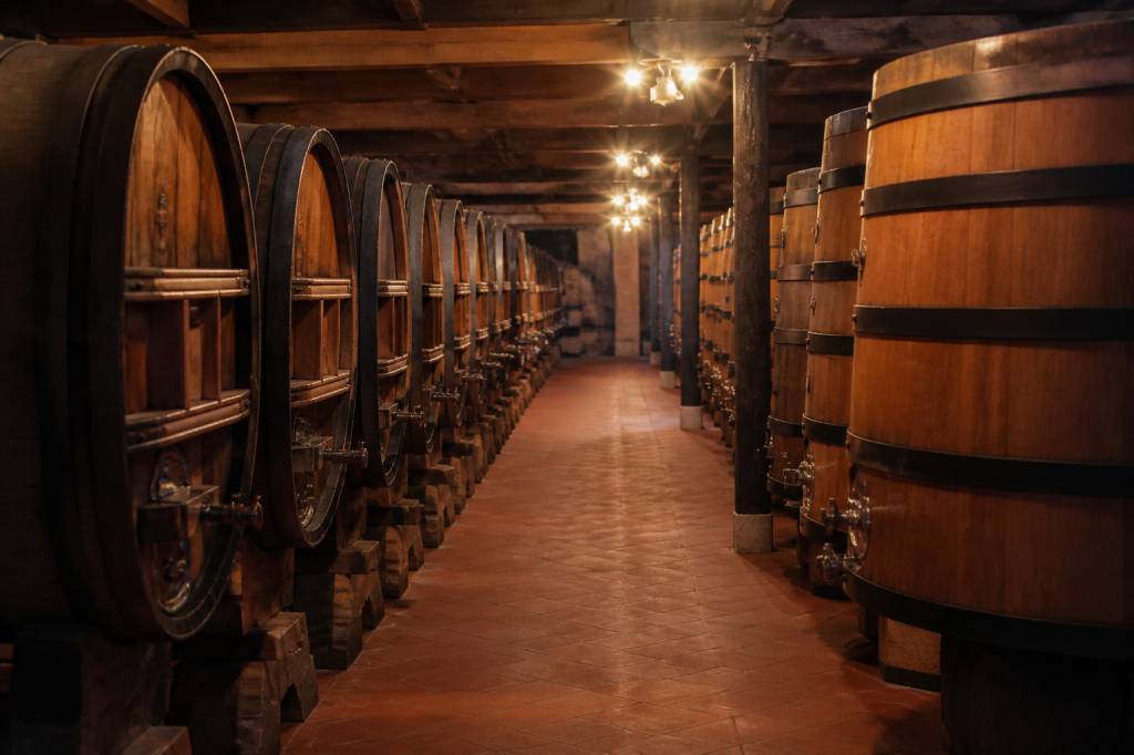 Caves des Templiers Banyuls : visite, histoire et dégustation des vins de Banyuls