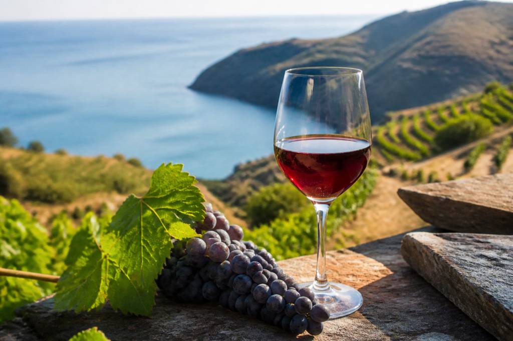 Gicb banyuls : découvrir les vins doux naturels et le terroir catalan