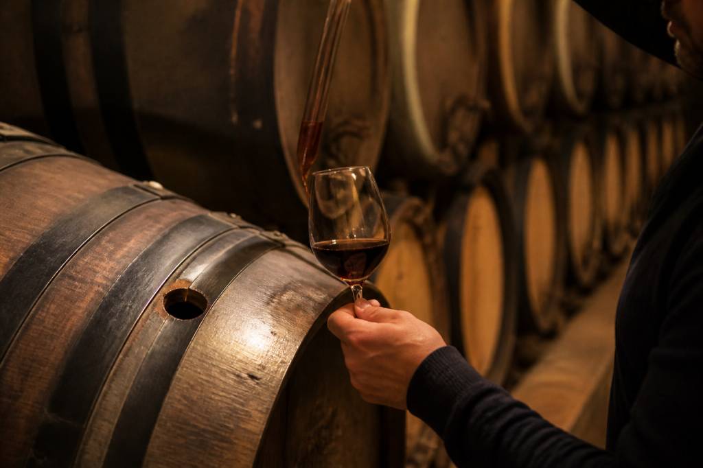 Terres des templiers grande cave : découverte des vins de Banyuls
