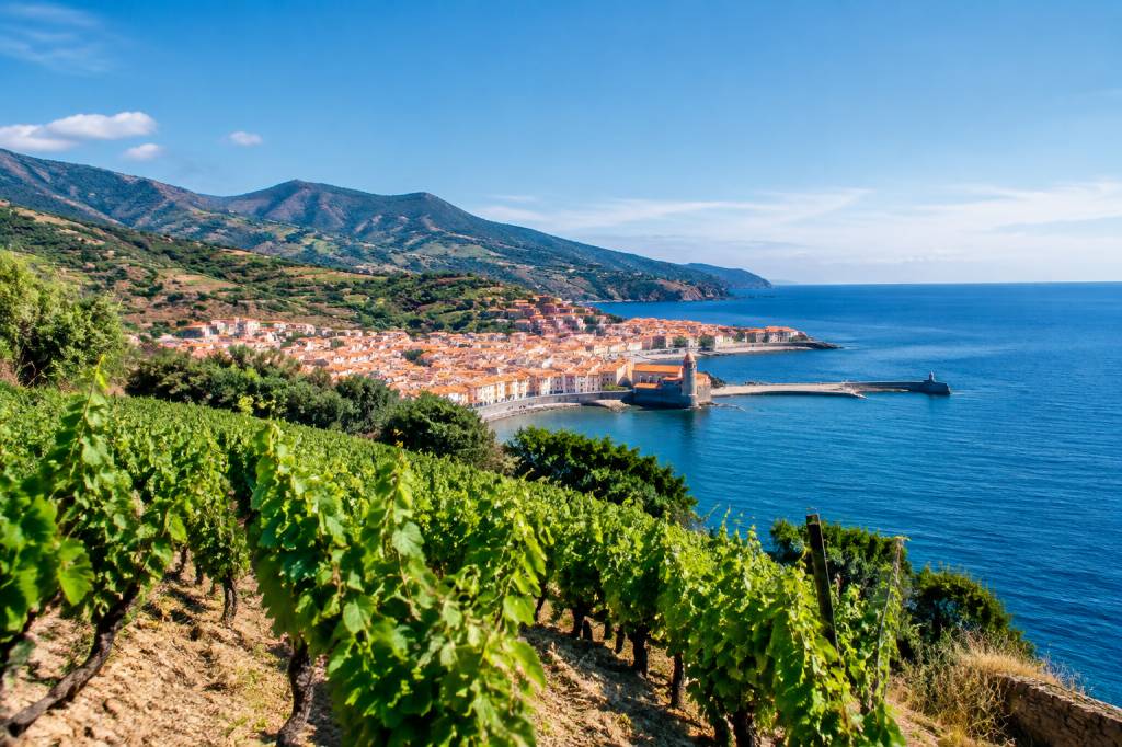 Banyuls : que faire pour découvrir la côte Vermeille et les vins locaux
