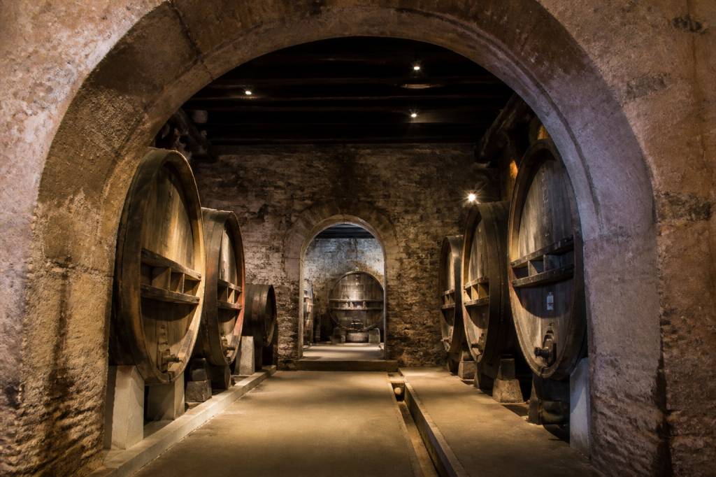 Celliers des Templiers Banyuls : découverte d’un savoir-faire viticole unique