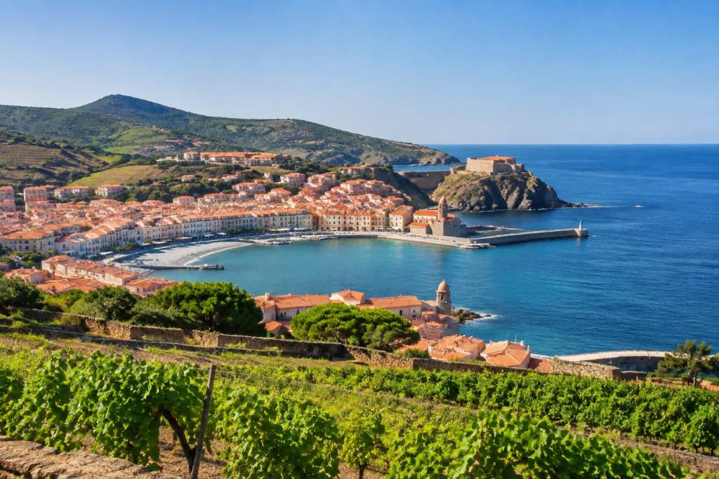 Visiter Banyuls : guide pratique entre mer, vignobles et patrimoine