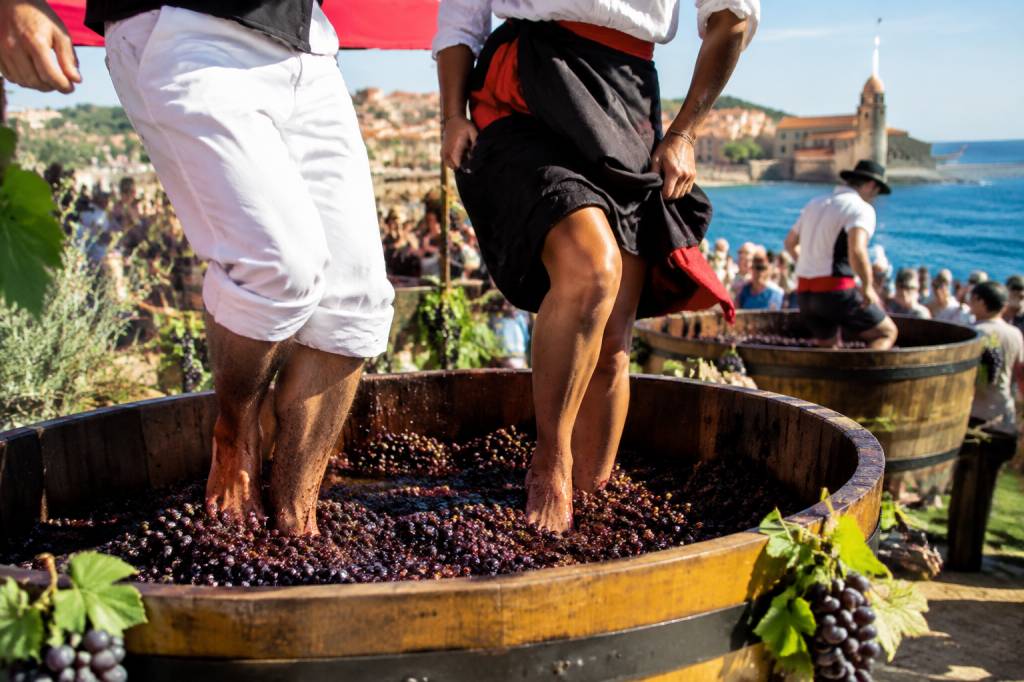 Fête des vendanges Banyuls programme 202 dates, animations et vins de Banyuls